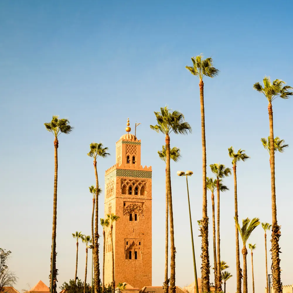 que faire à essaouira - aller a Marrakech