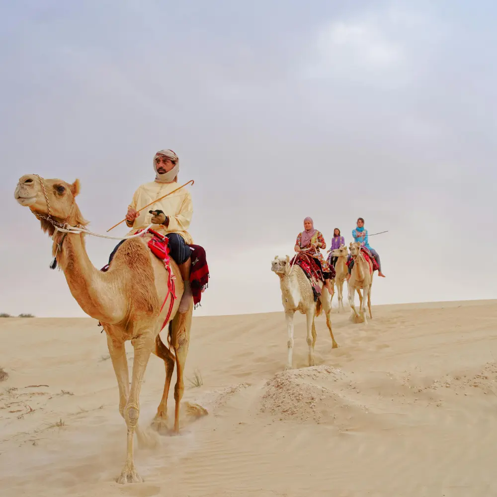 que faire à essaouira - faire des balades a dos de dromadaire